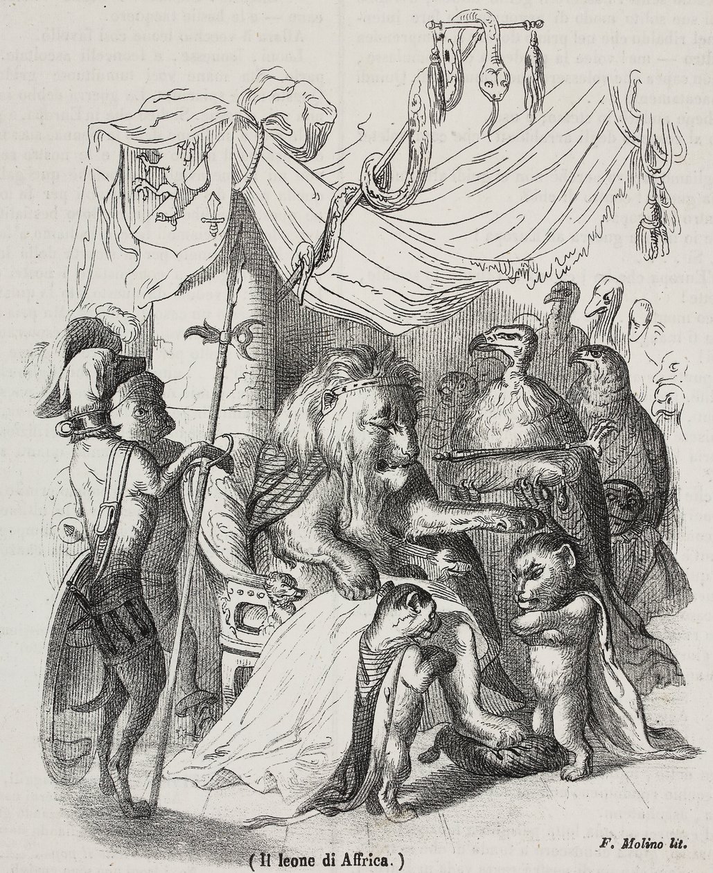 Afrika oroszlánja, az afrikai oroszlán és három őshonos fiatal oroszlán történetének szereplője, Filippo Molino (1804-1856) litográfiája Jean-Jacques Grandville (1803-1847) rajza alapján, alkotó: Grandville