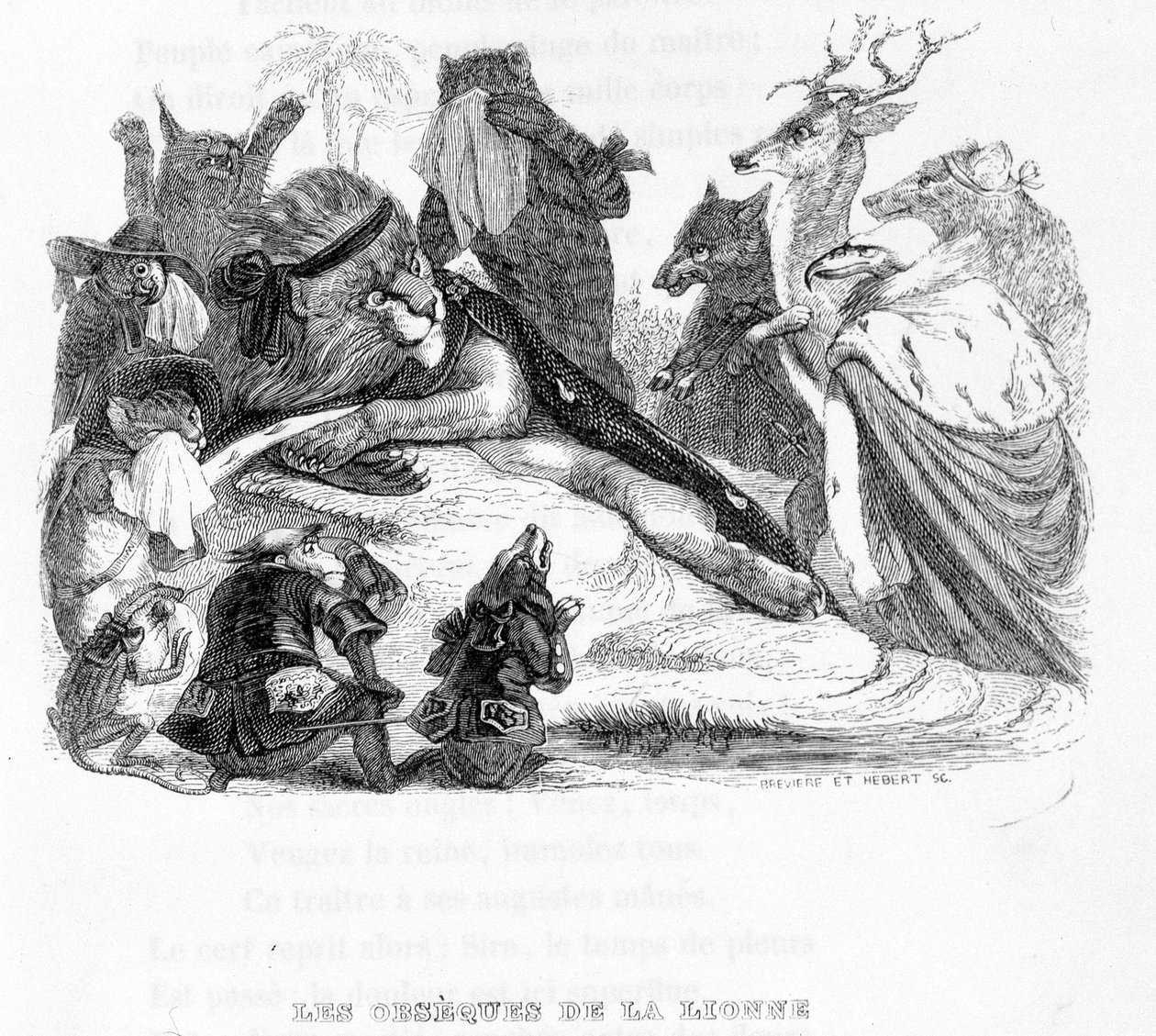Az oroszlán temetése - a „” Fables de La Fontaine”-ban ill. írta Grandville alkotó: Grandville