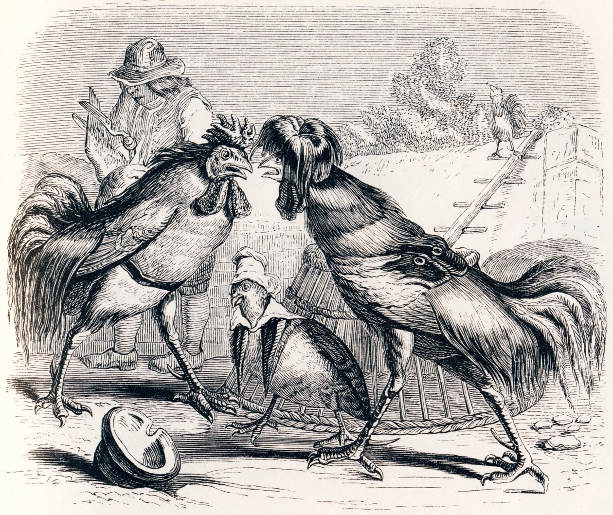 A fogoly és a két pecsenyesütő - Fables by La Fontaine alkotó: Grandville