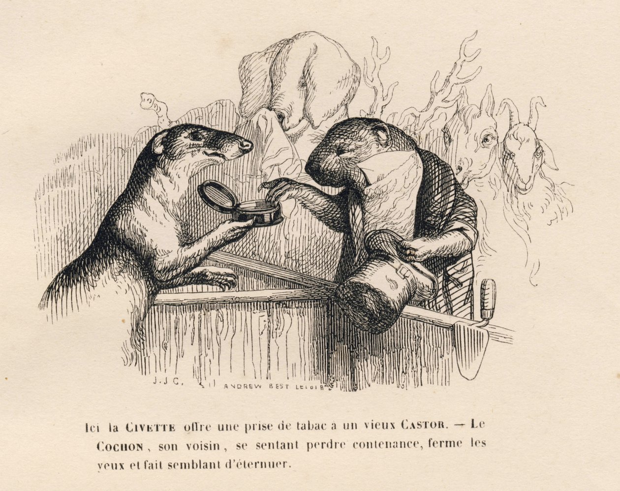 Egy cibet megkínál egy öreg hódot egy cigivel, a mögötte álló disznó igyekszik visszafogni magát. JJ Granville illusztrált matricái. Andrew Best és Leloir által aláírt metszet a "Parlamenti összefoglaló" című prológusban, amelyet PJ Stahl írt a "Jelenetek" alkotó: Grandville