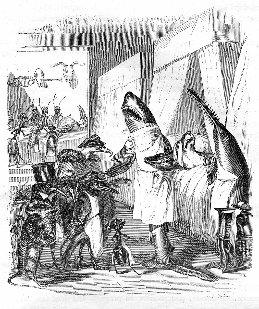 Rajzfilm: Halak - orvosok: Hetzel kiadás 1867. 551. o. - Egy cápa és egy fűrészes hal (Fish saw) egy ágyban fekvő beteg mellett. alkotó: Grandville (1803 47)
