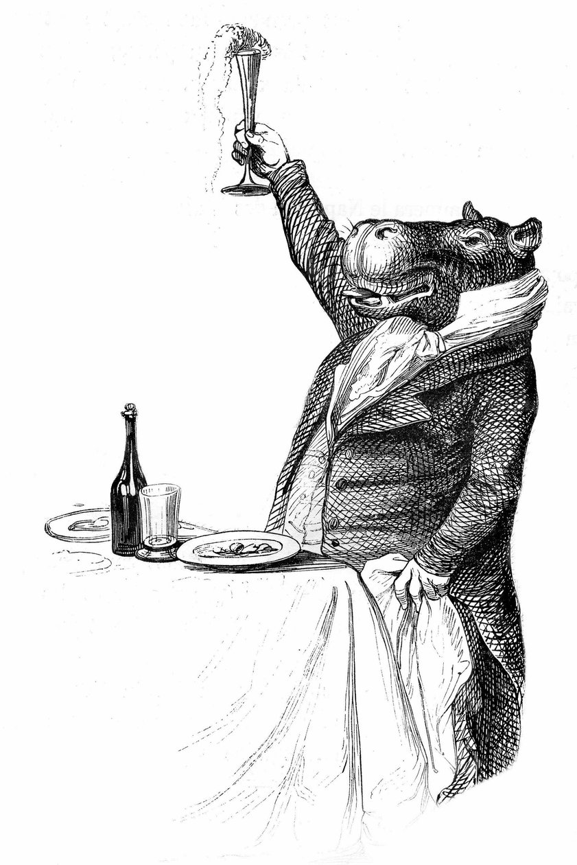 Részlet Grandville metszetéből, amely az Állatok magán- és közélete (Les animaux ints par eux memes) című könyvből származik, Hetzel kiadás 1867 - Víziló világéletében egy asztalnál poharat emel és tósztot mond. alkotó: Grandville (1803 47)