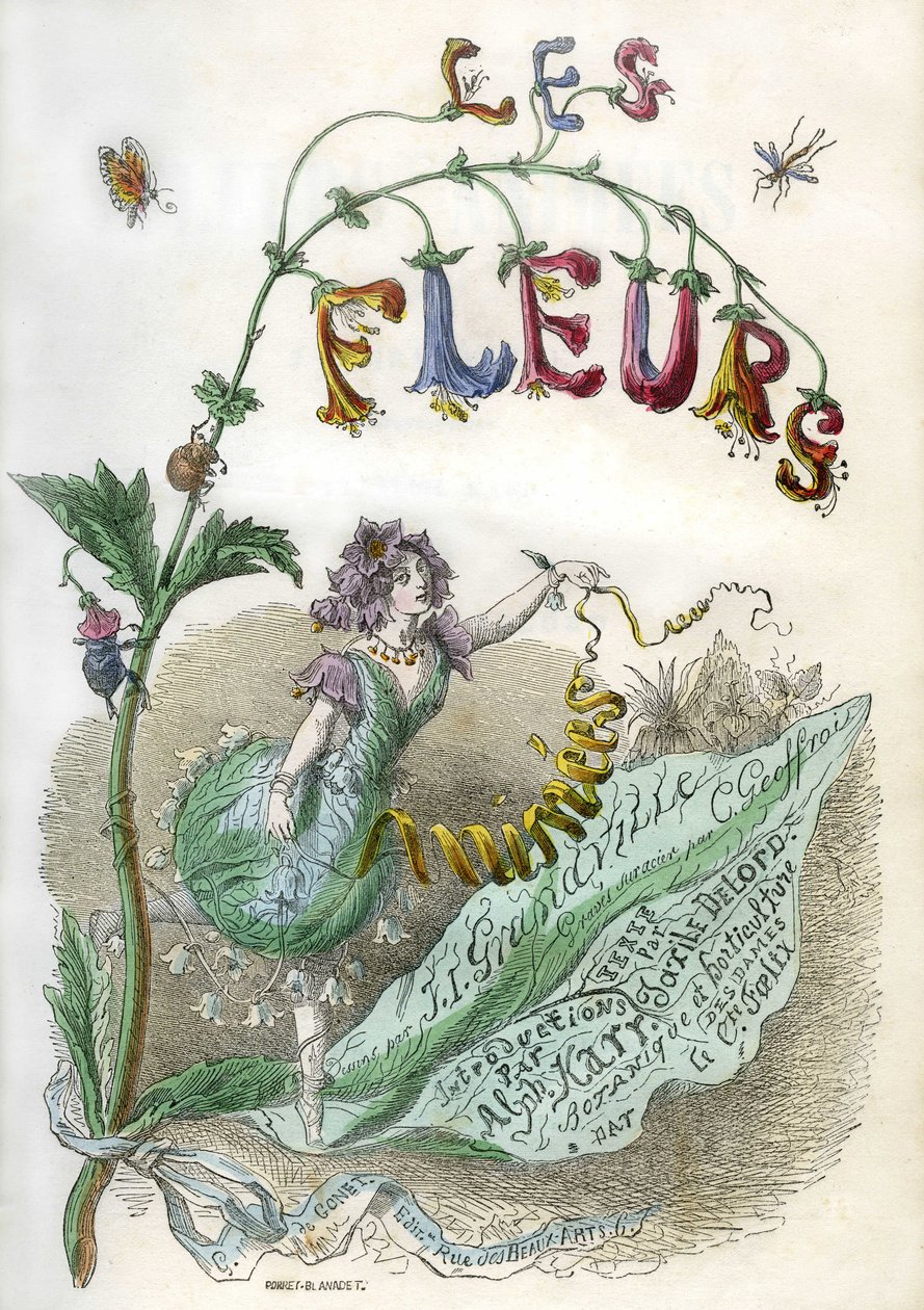 A "Les Fleurs animees" című, Grandville által illusztrált könyv címlapja, színes metszet sablonos metszettel. Gonet Edition 1857 alkotó: Grandville (1803 47)