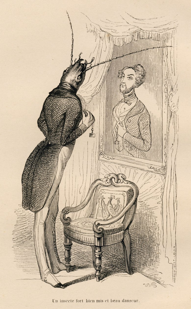 Rovar nézi emberi tükörképét a tükörben). JJ Granville illusztrált matricái. Andrew, Best és Leloir által aláírt metszet a "Les aventures d