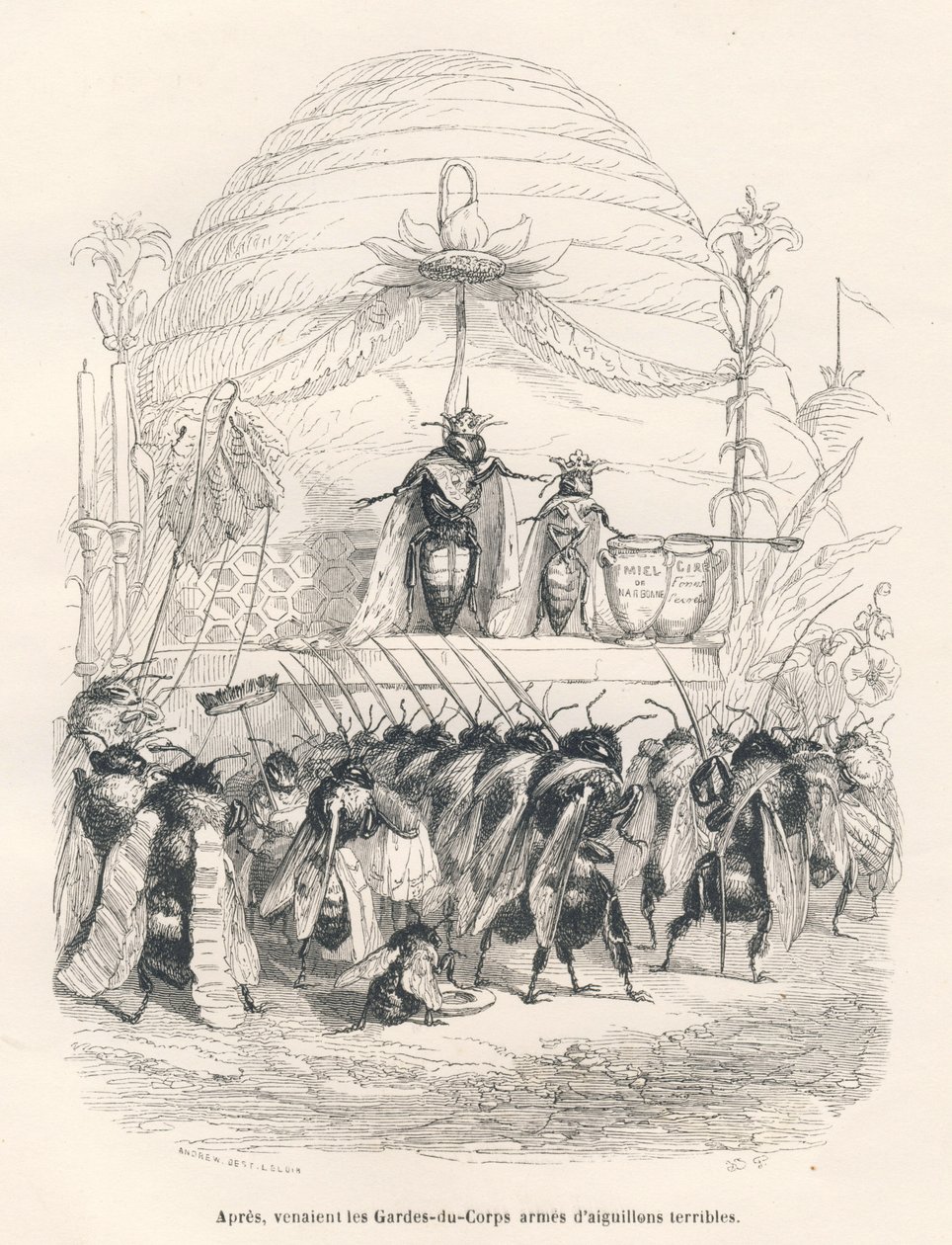 A méhkirálynő és a serege. A miniatűröket JJ Granville illusztrálta. Andrew, Best és Leloir aláírt metszet a "Egy veréb utazása Párizsból" című részben George Sand által írt "Jelenetek az állatok magán- és közéletéből". Paris, J. alkotó: Grandville