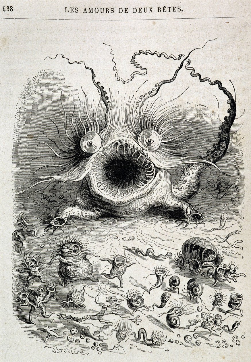 Les amours de deux beêtes (borzasztó szörnyeteg) - Grandville „” Önmaguk által festett állatok: az állatok magán- és közélete” című művében, Honoré de Balzac fejezete, szerk. Hetzel alkotó: Grandville