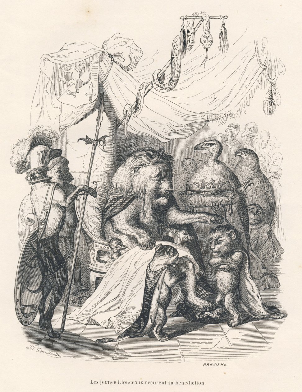 A fiatal oroszlánkölykök megkapják az oroszlánkirály áldását. A matricákat JJ Granville illusztrálta. A "Scenes de la vie privee et publique des" című művében Honore de Balzac "Egy afrikai oroszlán utazása Párizsban" című metszet Breviere aláírásával. alkotó: Grandville