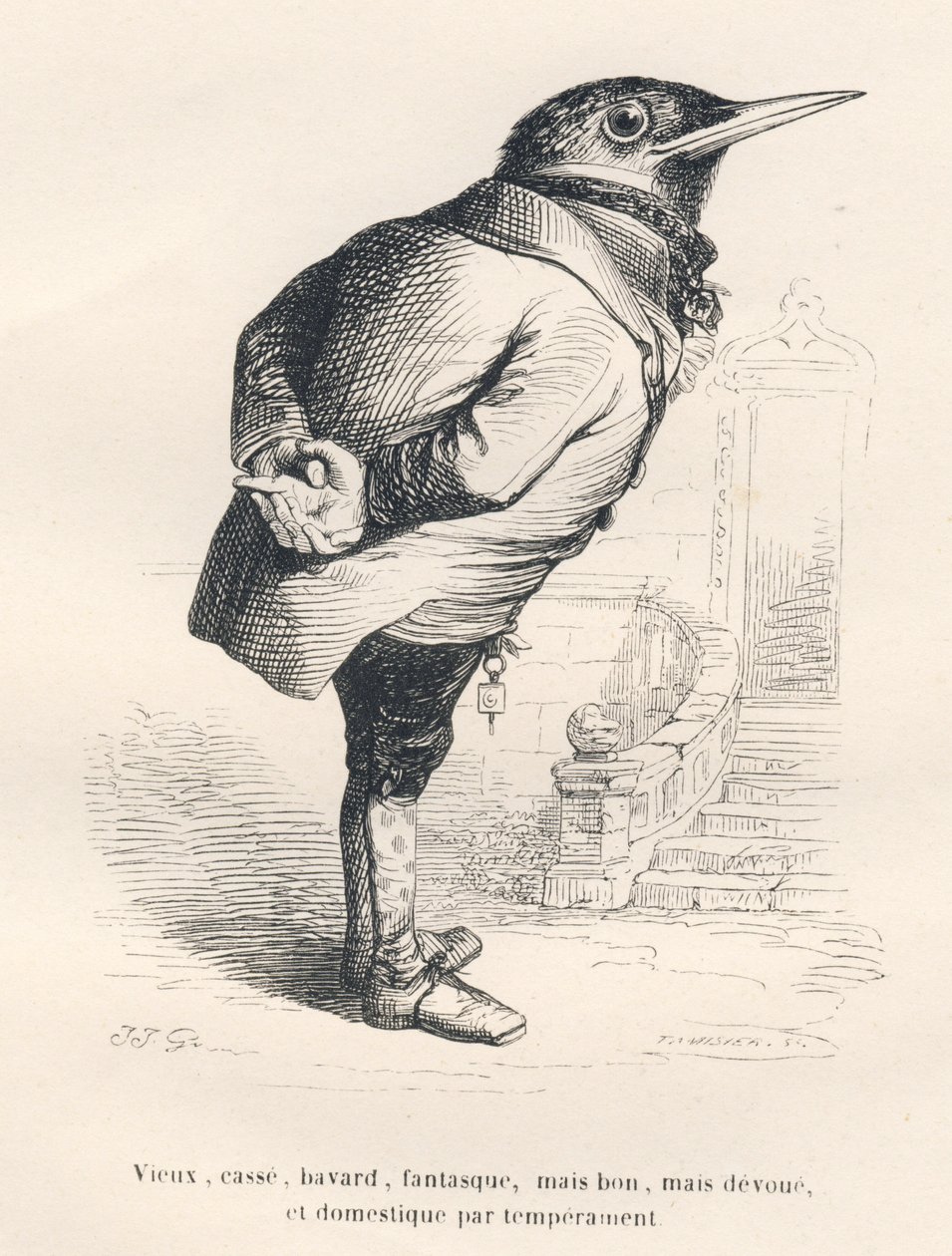 Merle "öreg, törött, beszédes, szeszélyes, de jó, de odaadó és otthonos vérmérsékletű". A matricákat JJ Granville illusztrálta. Tamisier aláírt metszet az "Egy öreg varjú emlékei" című részben, PJ Stahl által a "Jelenetek az életből" című könyvében. alkotó: Grandville