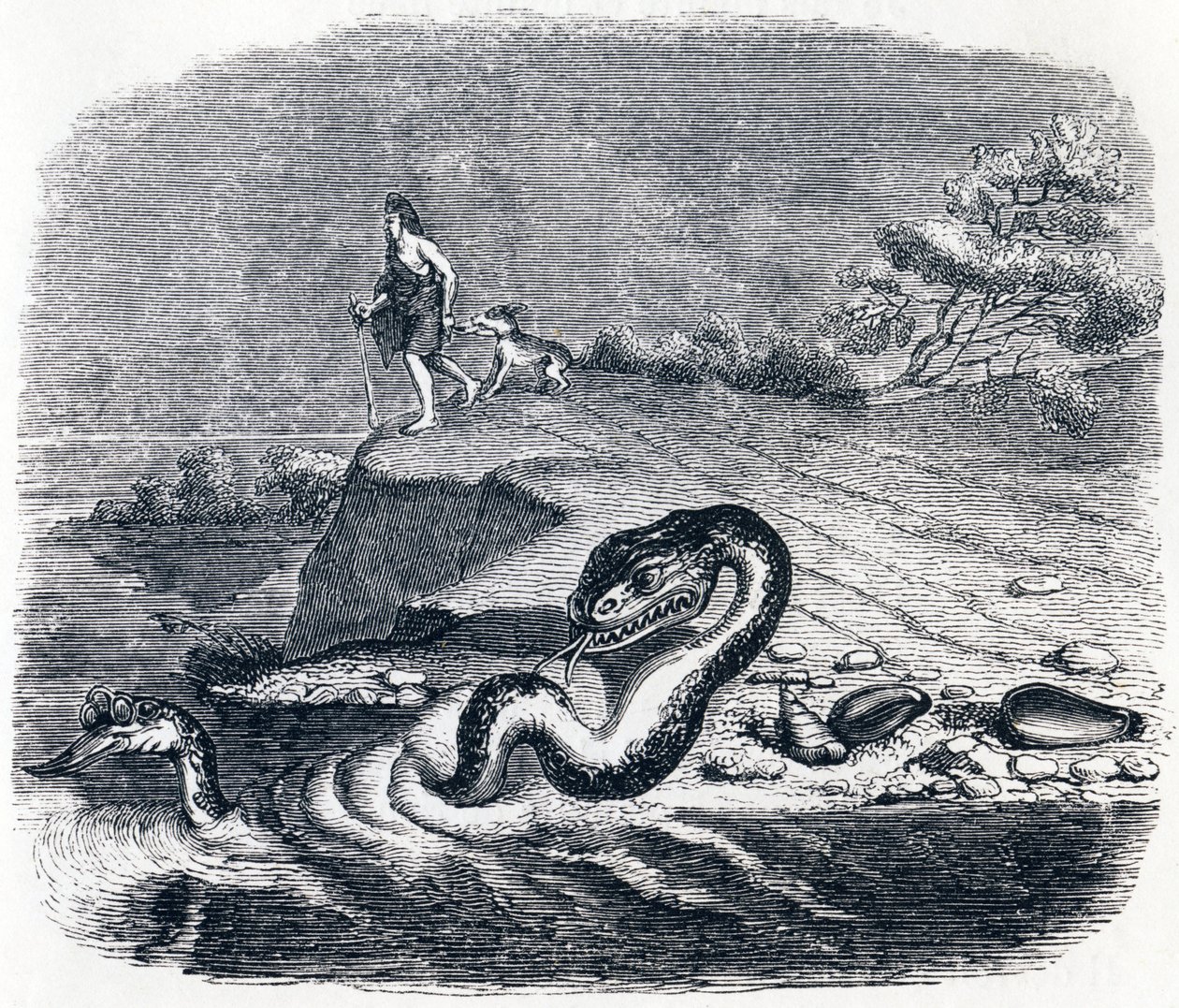 A kígyó eleje és a kígyó farka (La tete et la queue du serpent) - La Fontaine meséi alkotó: Grandville