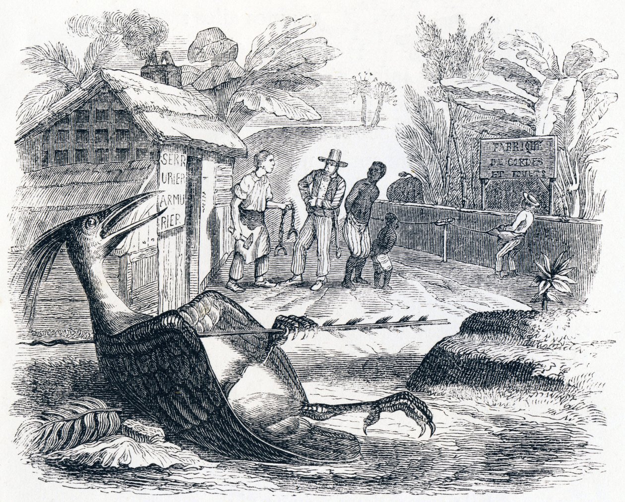 A madár egy nyíl által fáj - La Fontaine meséi alkotó: Grandville
