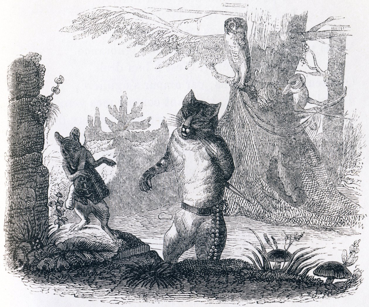 A macska és a patkány – La Fontaine meséi alkotó: Grandville