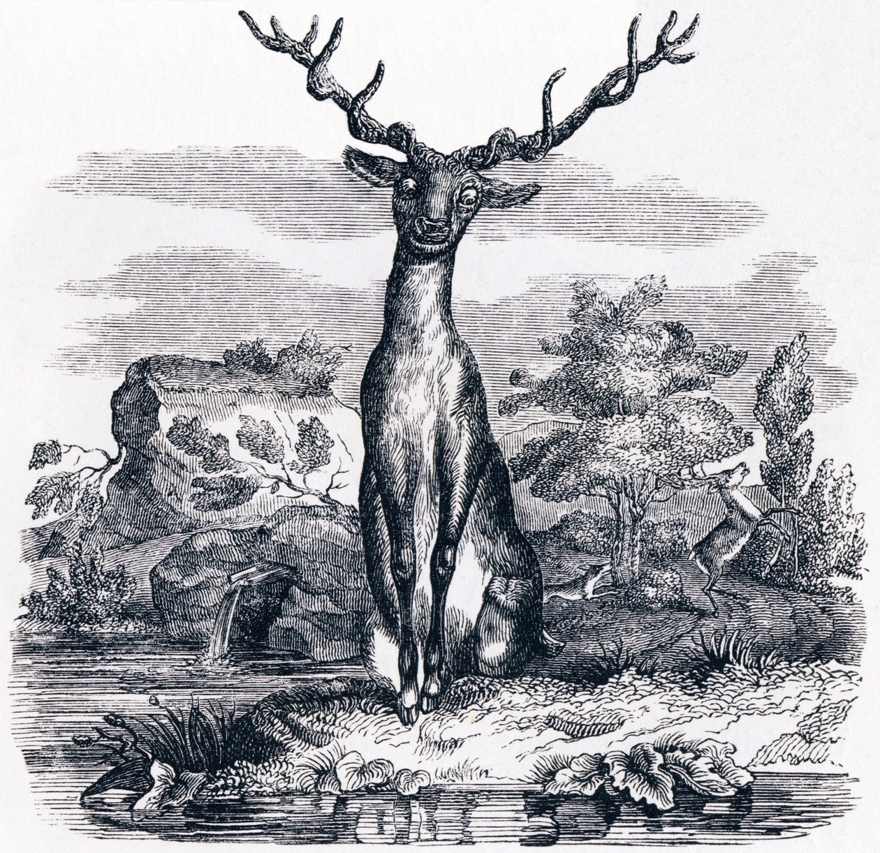 A szarvas nézi magát a vízben - Fables by La Fontaine alkotó: Grandville
