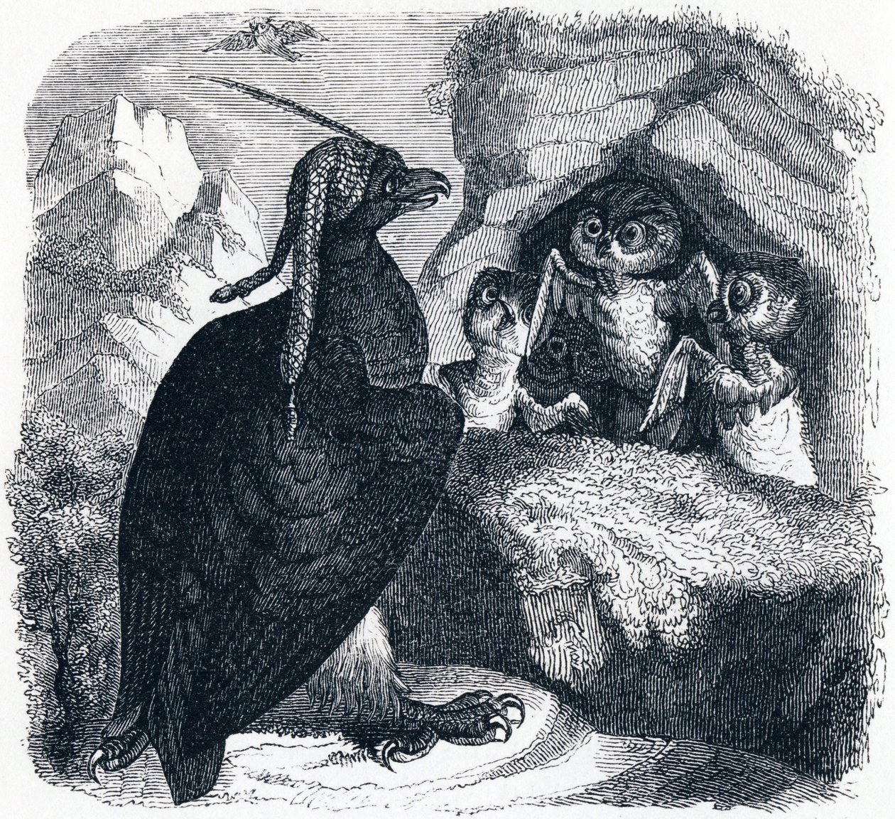 A sas és a bagoly - La Fontaine meséi alkotó: Grandville