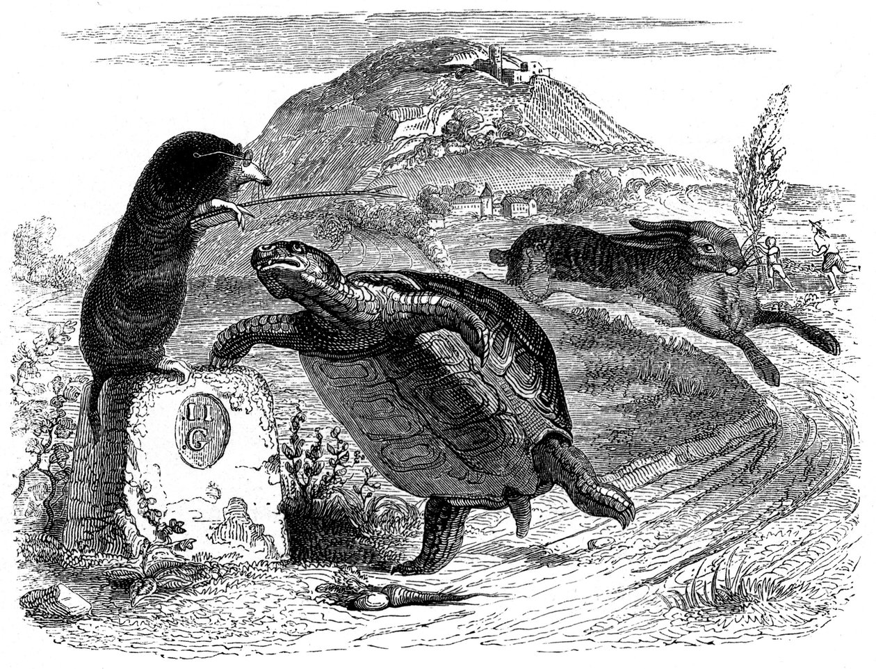 A nyúl és a teknős: Grandville által illusztrált La Fontaine-mese. alkotó: Grandville (1803 47)