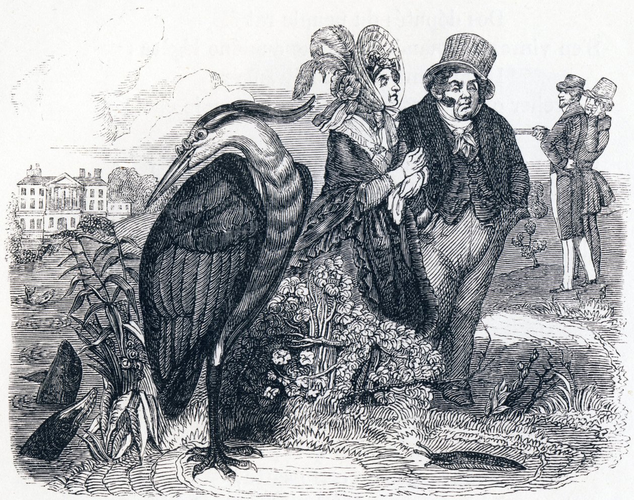 A gém (le Heron) - La Fontaine meséi alkotó: Grandville