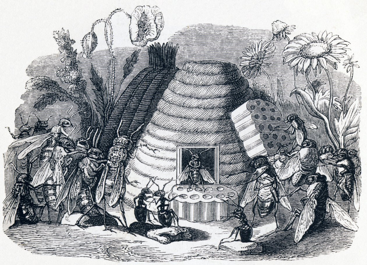 A hornets és a mézlegyek - Fables by La Fontaine alkotó: Grandville
