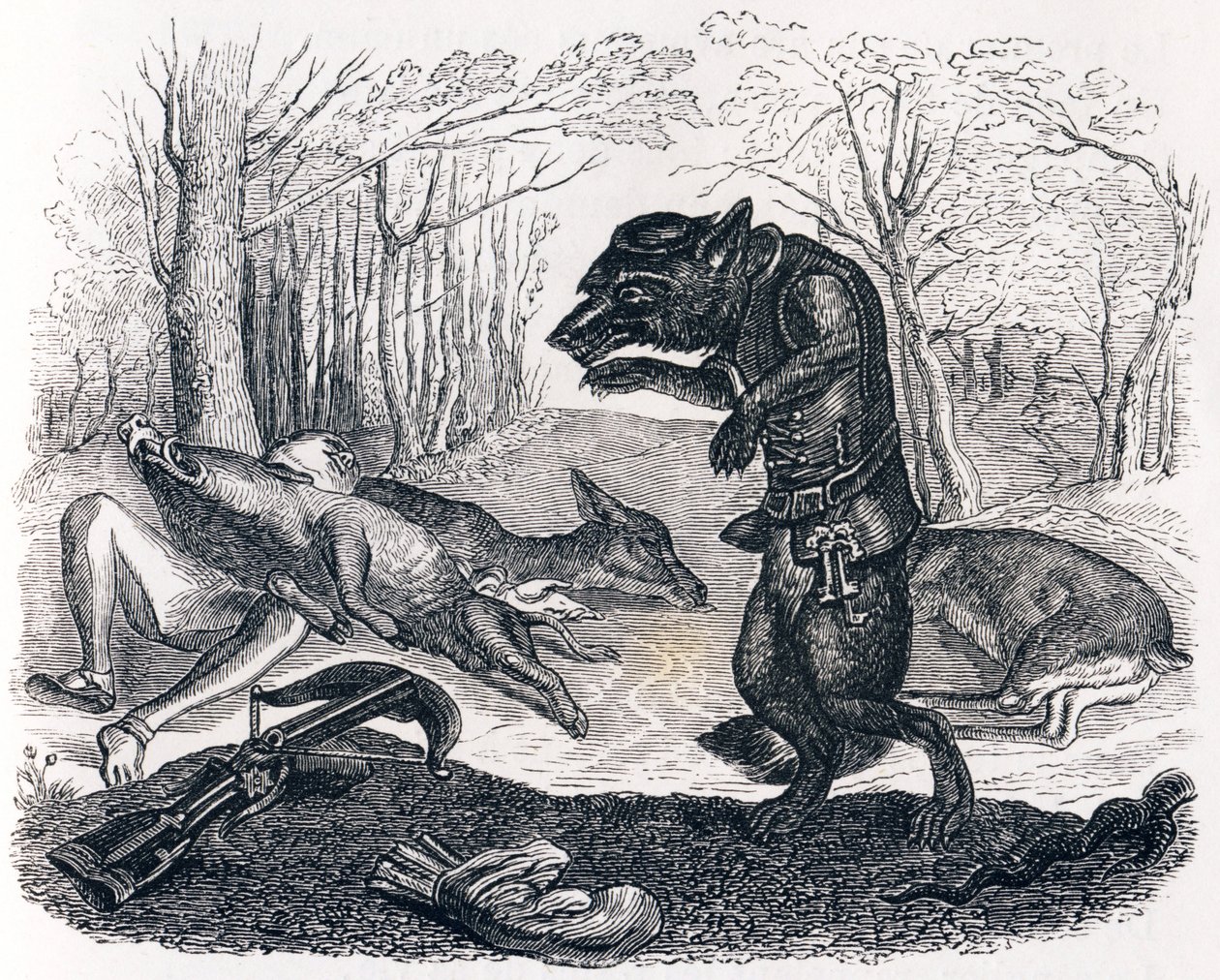 A farkas és a vadász – La Fontaine meséi alkotó: Grandville