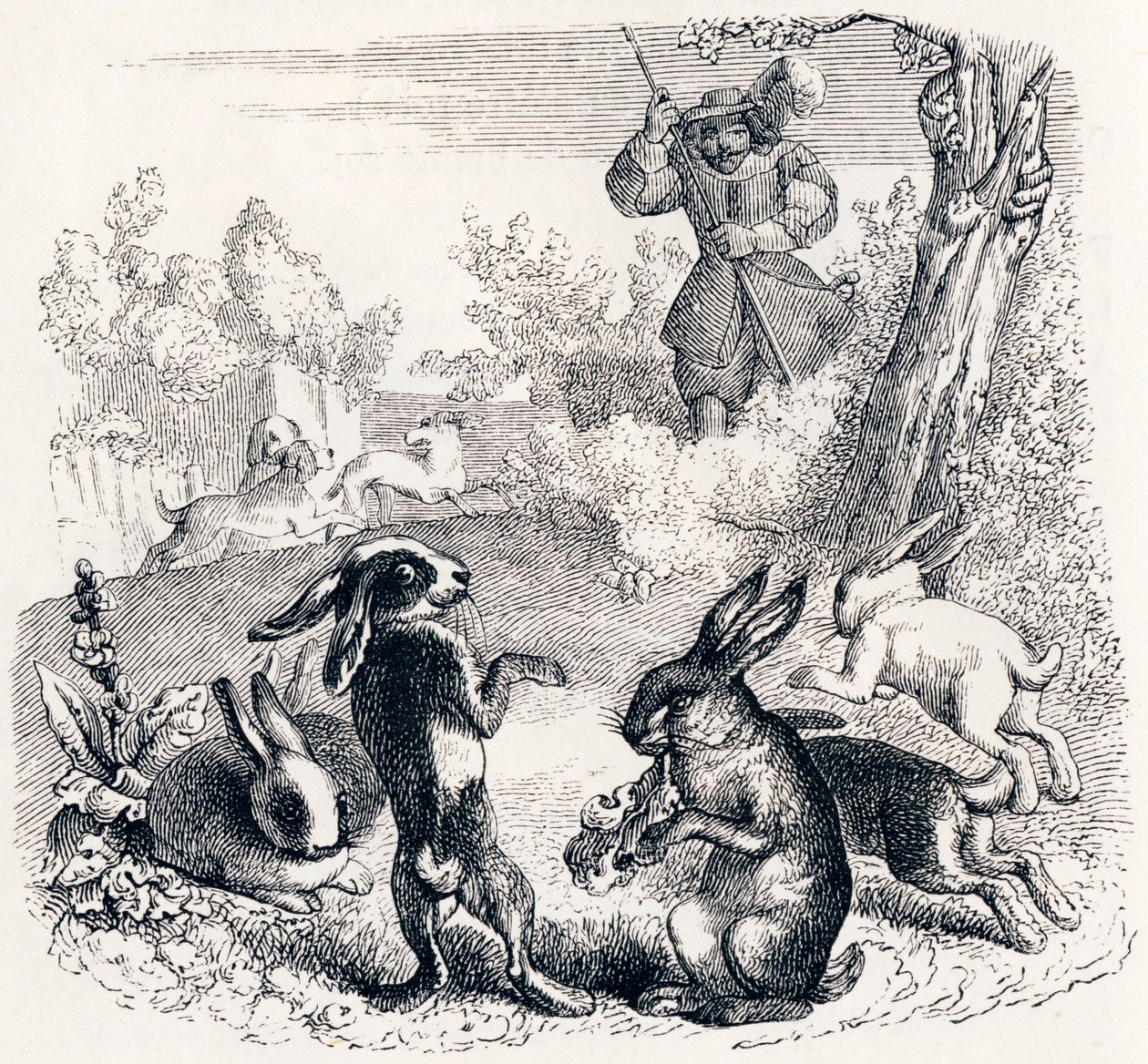 A nyulak - La Fontaine meséi alkotó: Grandville