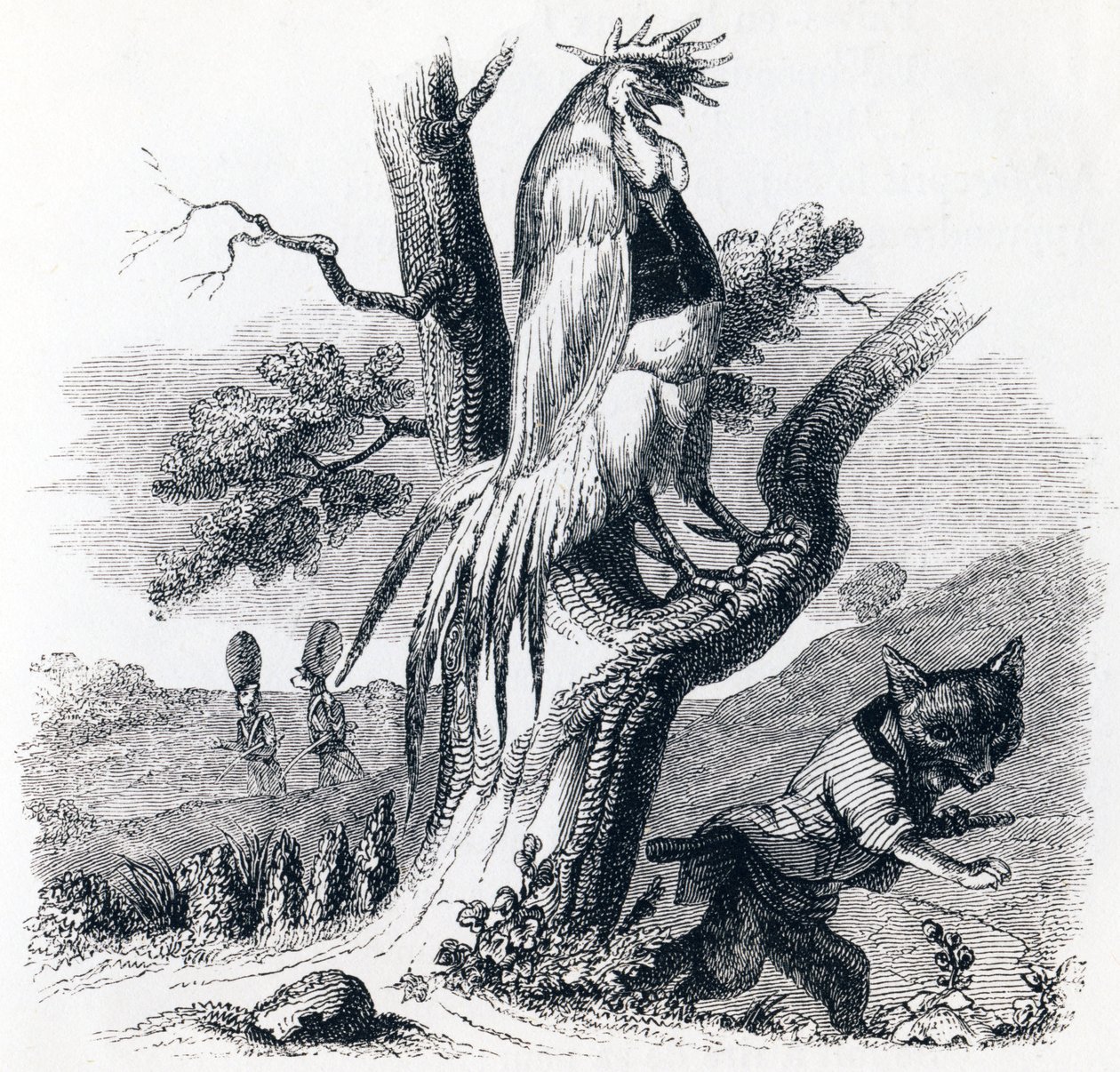 A pörkölő és a róka (Le coq et le renard) - La Fontaine meséi alkotó: Grandville
