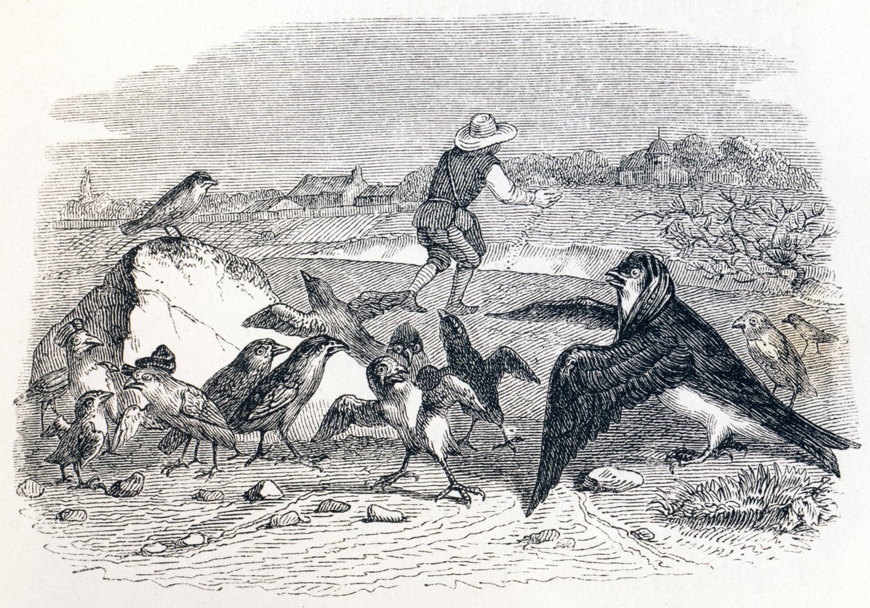 A fecske és a kismadarak – La Fontaine meséi alkotó: Grandville