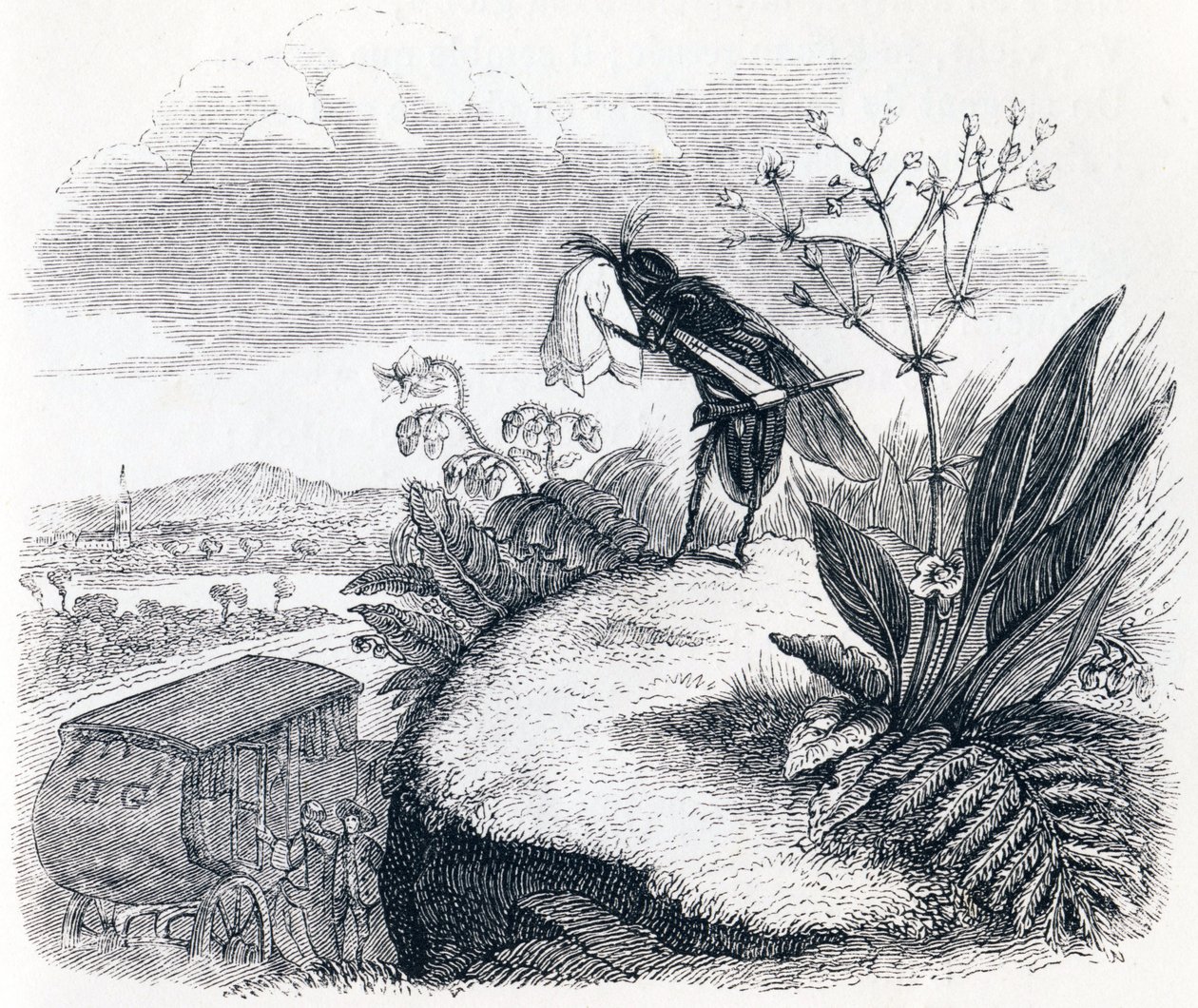 A kullancs és a légy – La Fontaine meséi alkotó: Grandville
