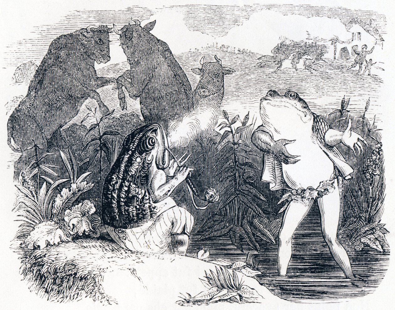 A két bika és a béka - La Fontaine meséi alkotó: Grandville