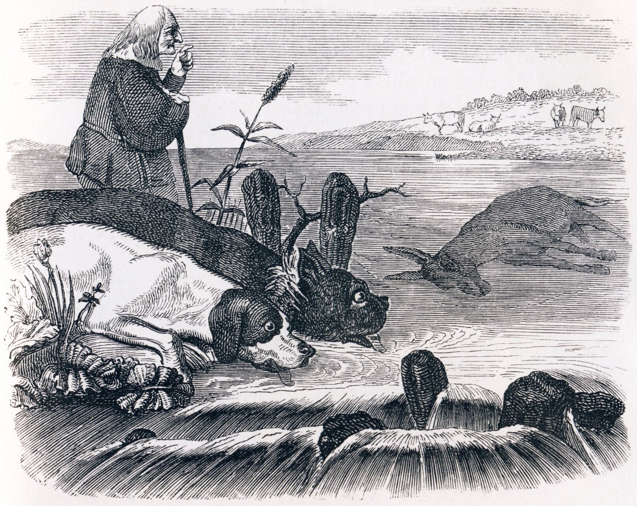 A két kutya és a döglött szamár – La Fontaine meséi alkotó: Grandville