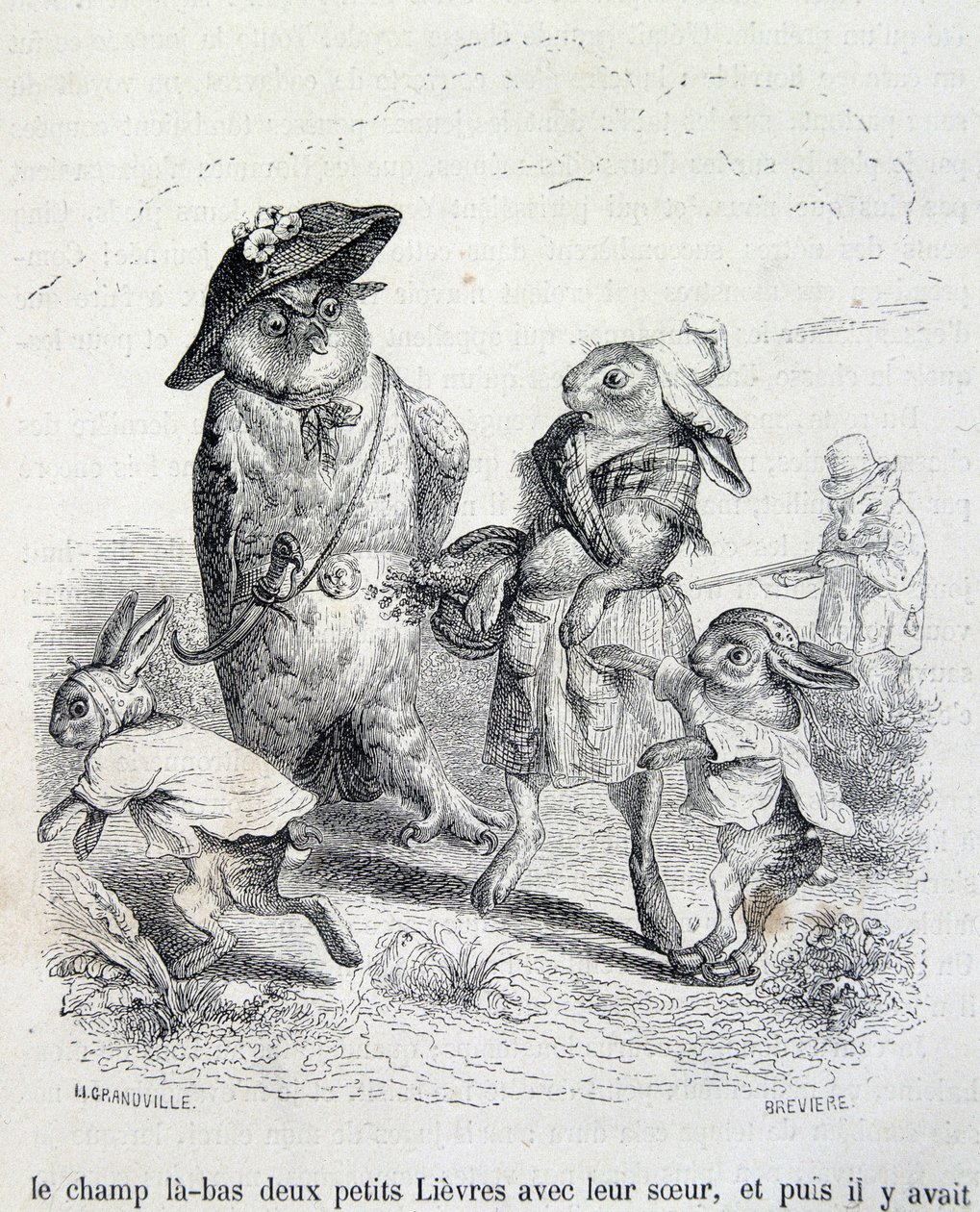 A két kis nyúl, a nővérük és a bagoly – Grandville-től alkotó: Grandville