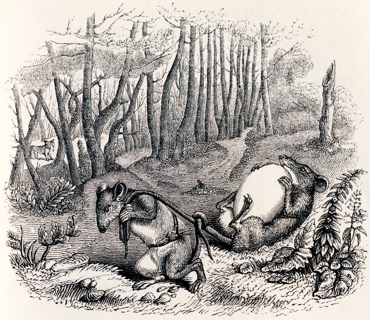 A két patkány, a róka és a tojás – La Fontaine meséi alkotó: Grandville