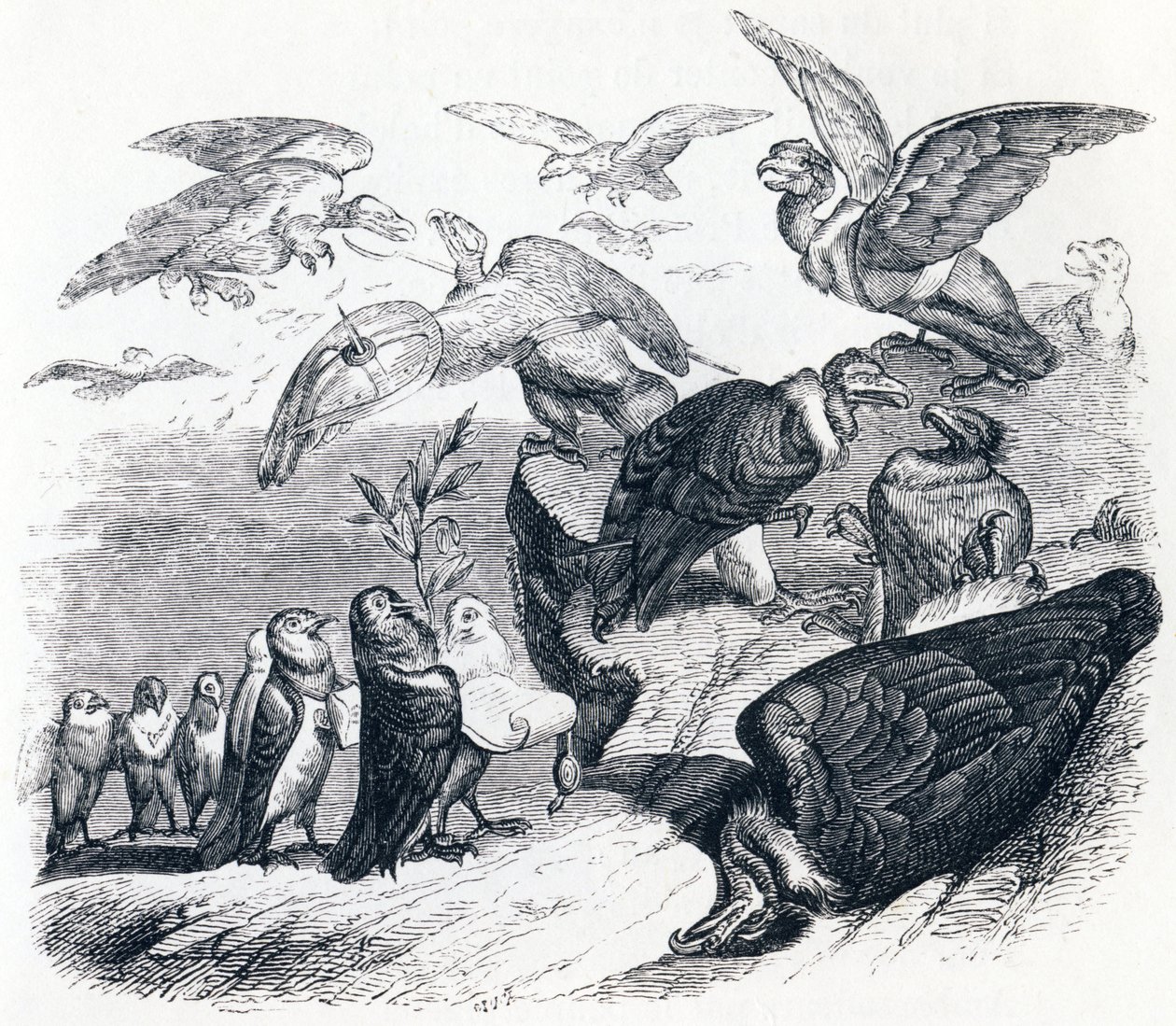 A keselyűk és a galambok - La Fontaine meséi alkotó: Grandville
