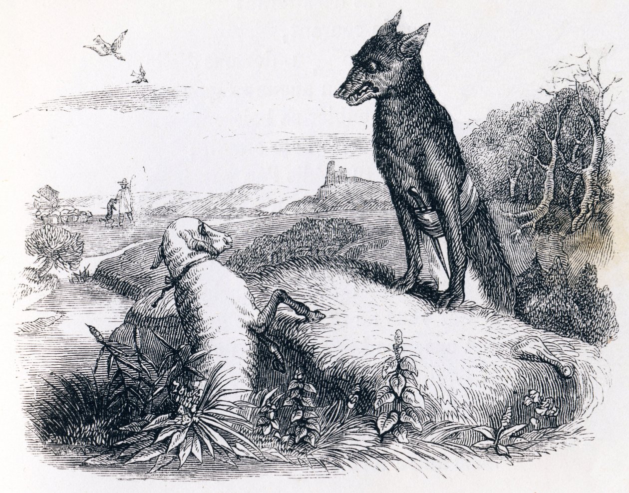 A farkas és a bárány – La Fontaine meséi alkotó: Grandville