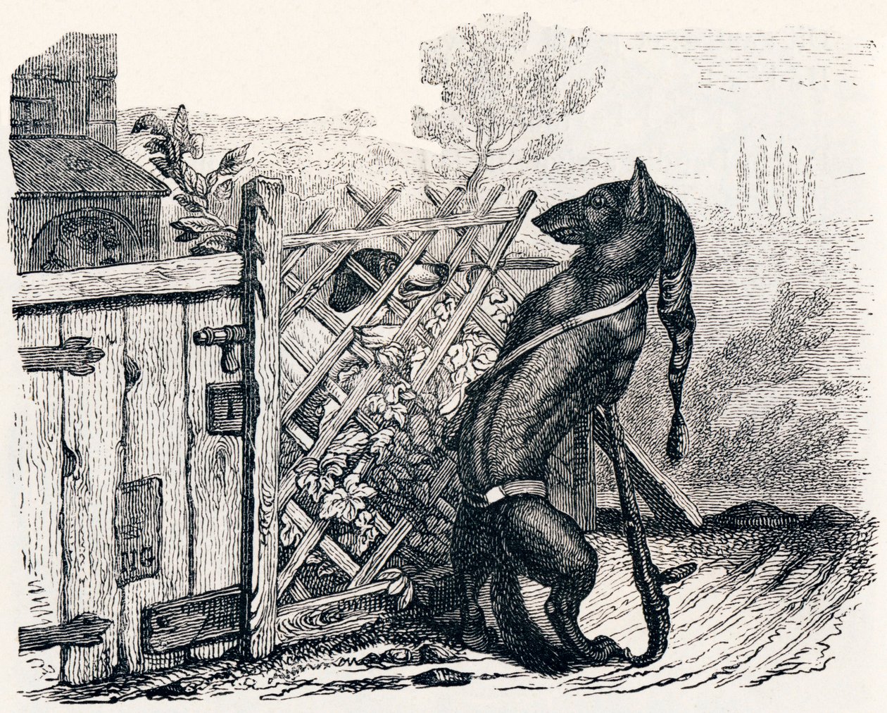 A farkas és a sovány kutya - La Fontaine meséi alkotó: Grandville