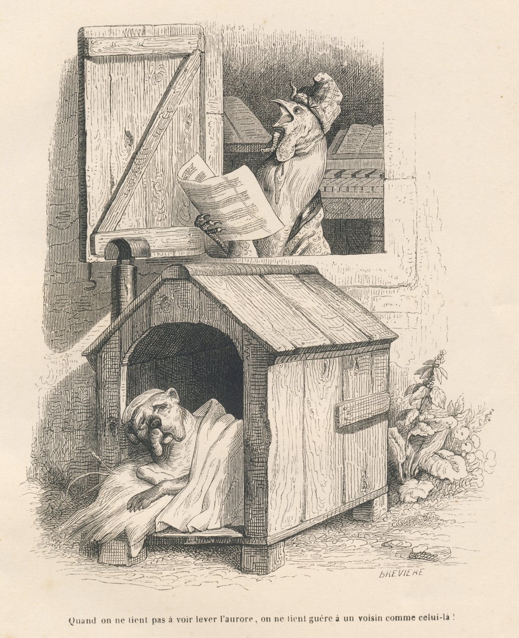 Egy lusta kutya a kenneljében, akit hajnalban kukorékoló kakas ébresztett. A miniatűröket JJ Granville illusztrálta. A Breviere aláírásával ellátott metszet a PJ Stahl által írt "Egy nyúl története" részben "Jelenetek az állatok magán- és közéletéből". Pár alkotó: Grandville