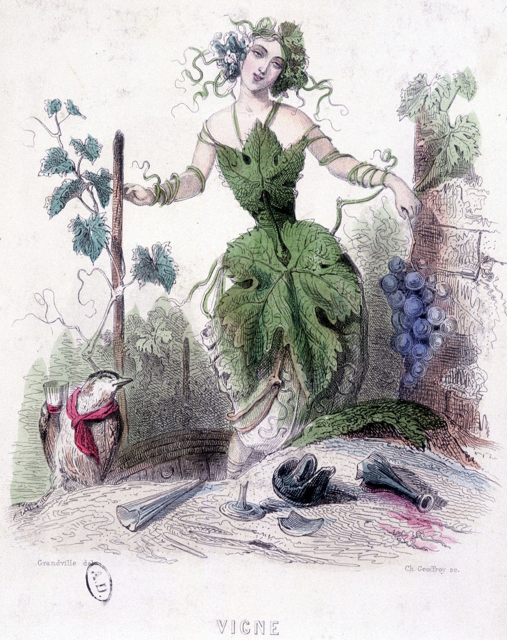 Nő, a szőlő allegóriája – Grandville rajza alkotó: Grandville