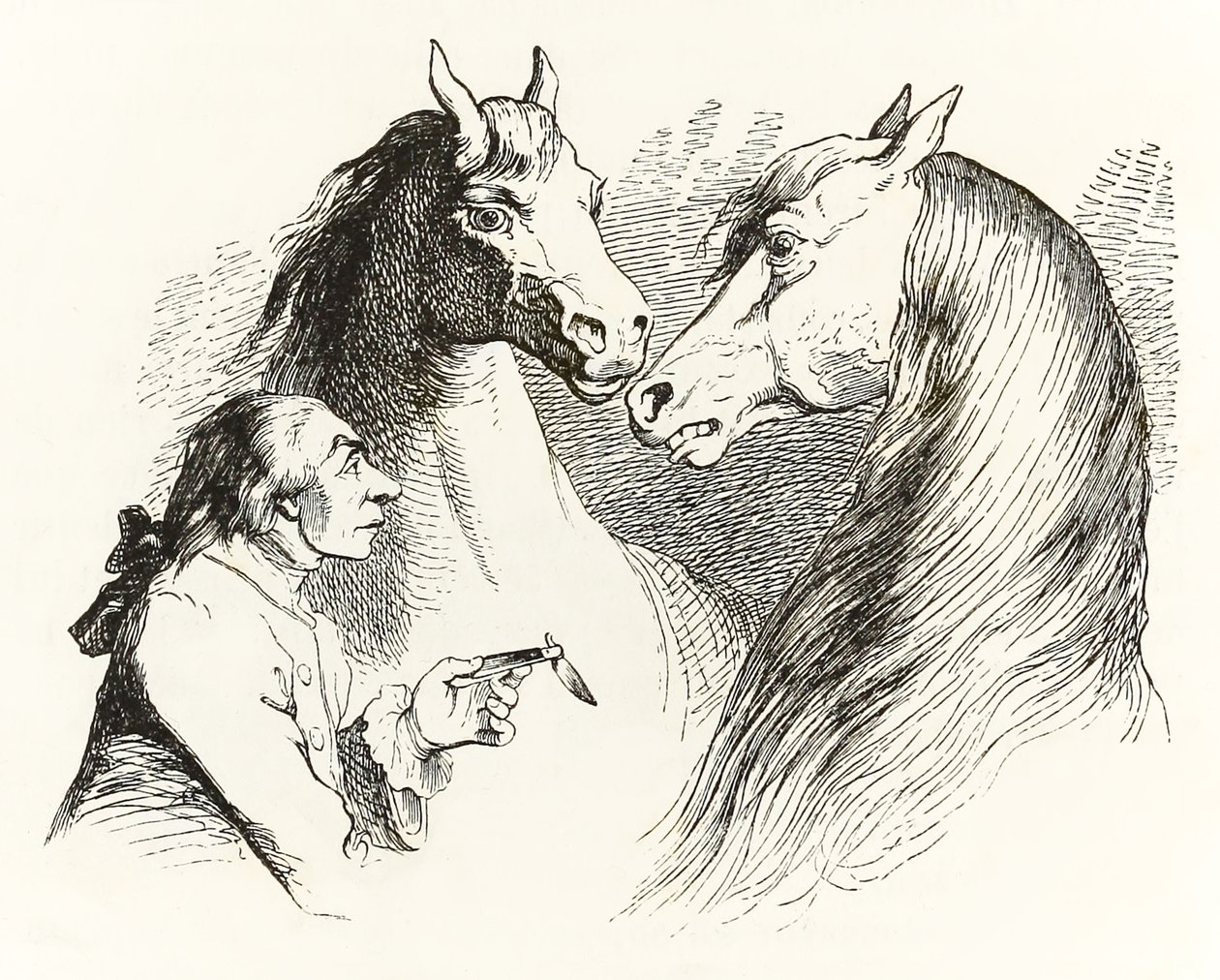 Gulliver beszélő lovakkal beszélget a Houyhnhnms Land-ben a Gullivers Travelsből, Jonathan Swift alkotó: Grandville