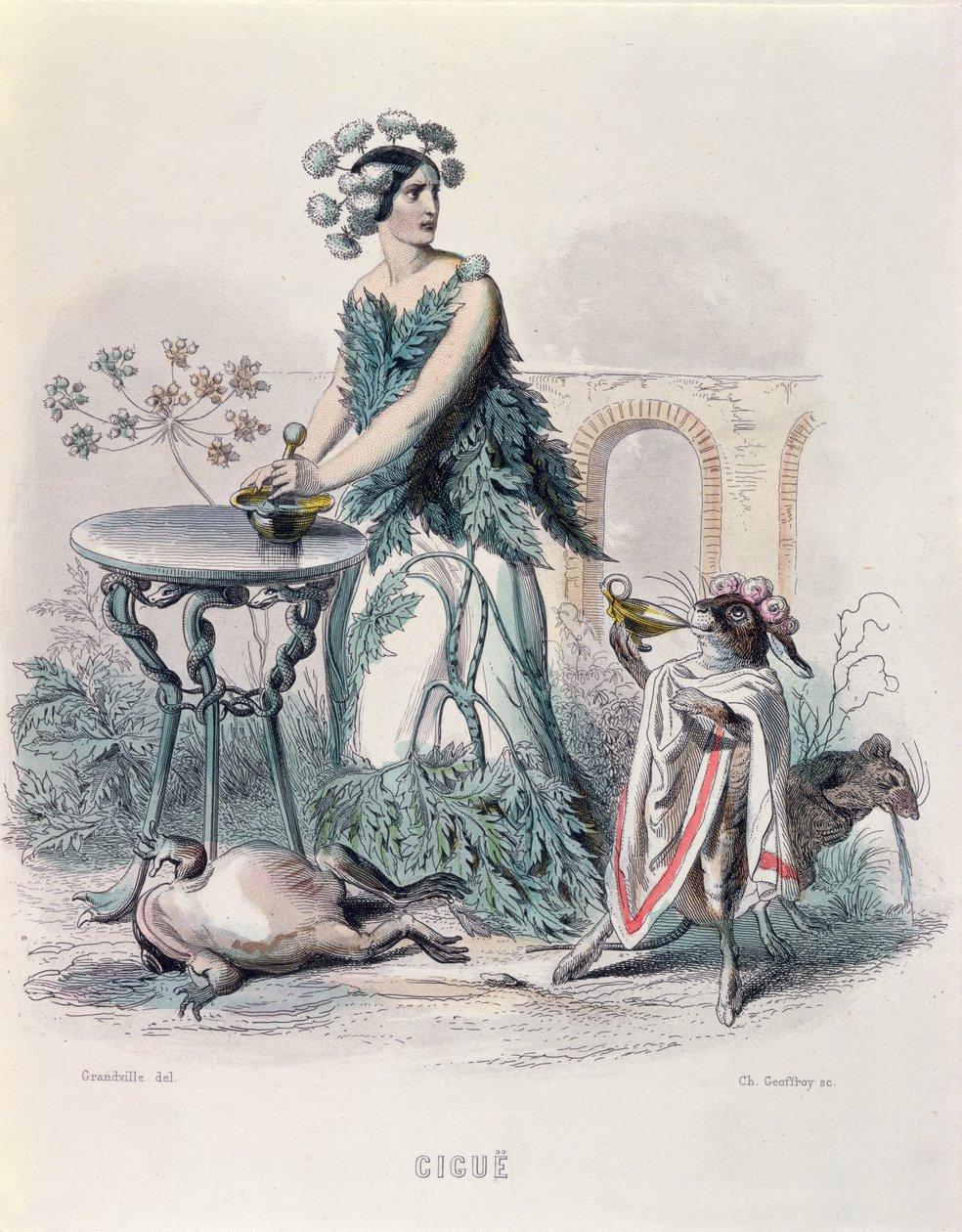 Bürök, a "Les Fleurs Animees"-ből, vésette: Charles Goeffroy (1819-82), 1847 (színes metszet) alkotó: Grandville