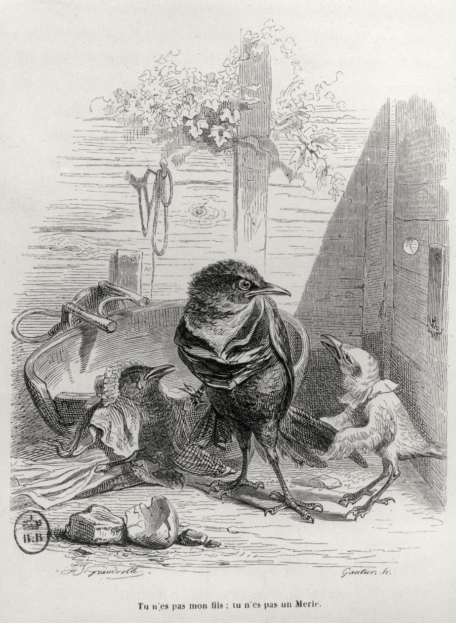 Illusztráció az LHistoire dun merle blanc-hoz, Gautier gravírozása alkotó: Grandville 1803 47 after Grandville 1803 47 after
