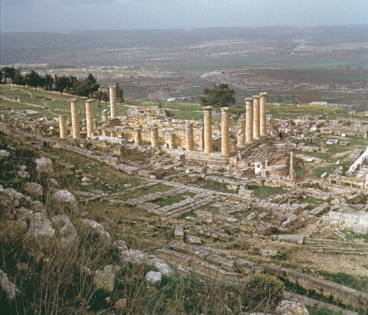 Alsó-Cirene általános képe alkotó: Greek