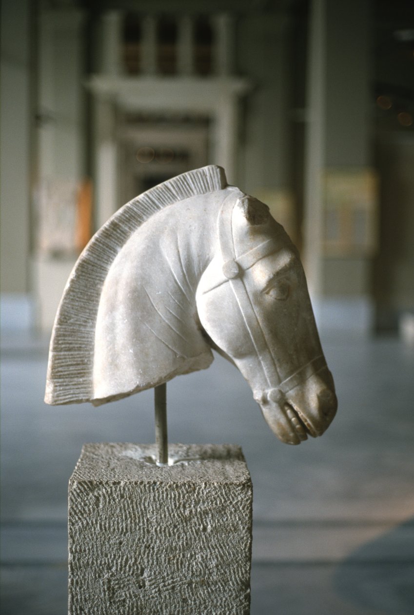 Ló feje (márvány) alkotó: Greek