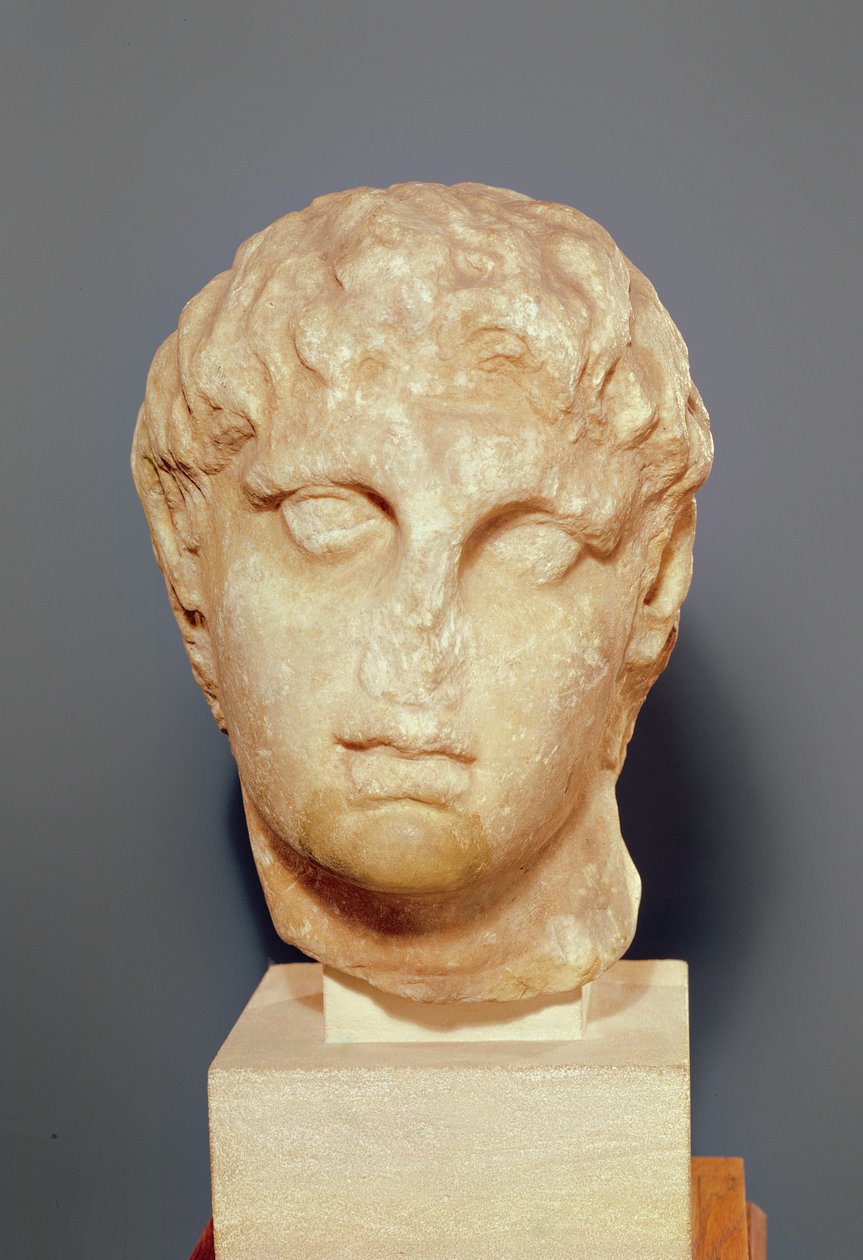 Az egyik diadochi feje vagy III. Sándor feje (Kr. e. 356-323) (márvány) alkotó: Greek