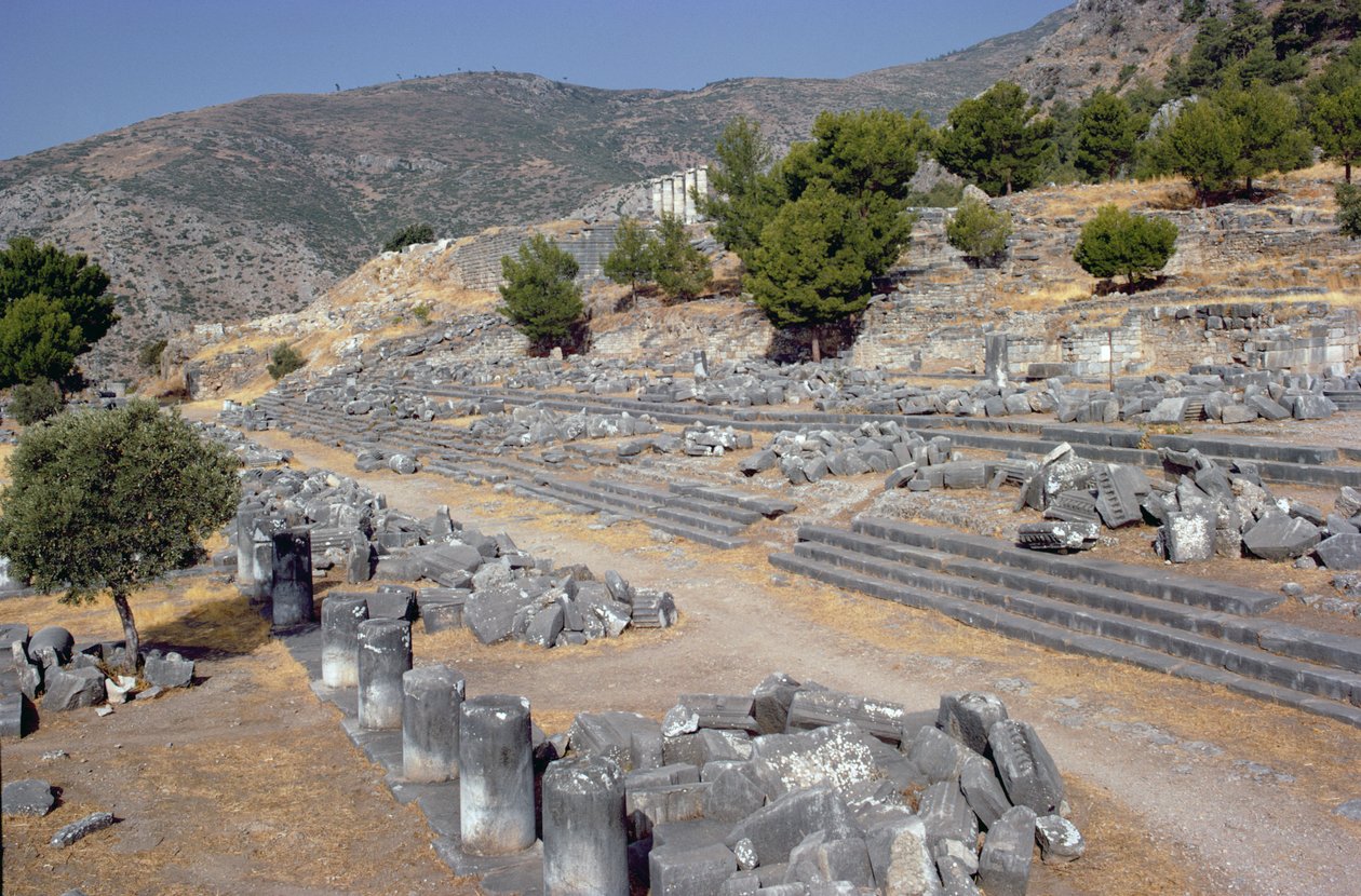 Általános kilátás az utcára és az agorára alkotó: Greek School