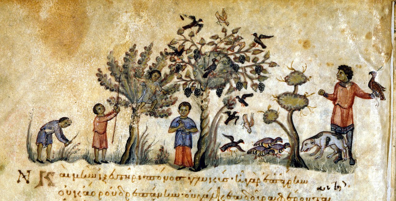 Vadászat sólymokkal a madarak befogására – Oppianus „De Venatione” című könyvében, görög kézirat a 13. századból. Biblioteca Marciana. Velence alkotó: Greek School