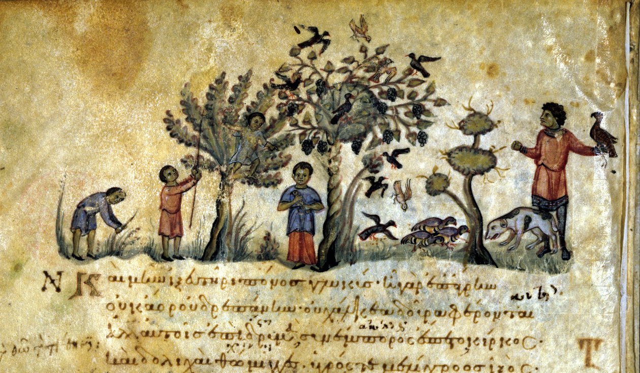 Sólyomvadászat és madárfészkek befogása. Oppianus De Venatione görög kézirata 13. század. alkotó: Greek School