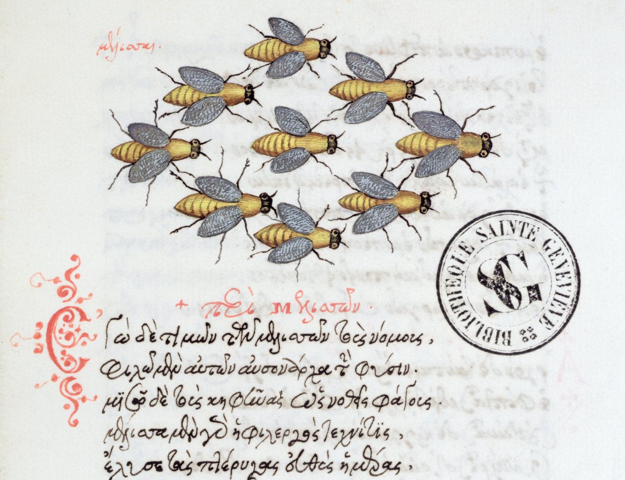 Ms 3402 Bees, Manuel Philes bestiáriumából, 1566 alkotó: Greek School
