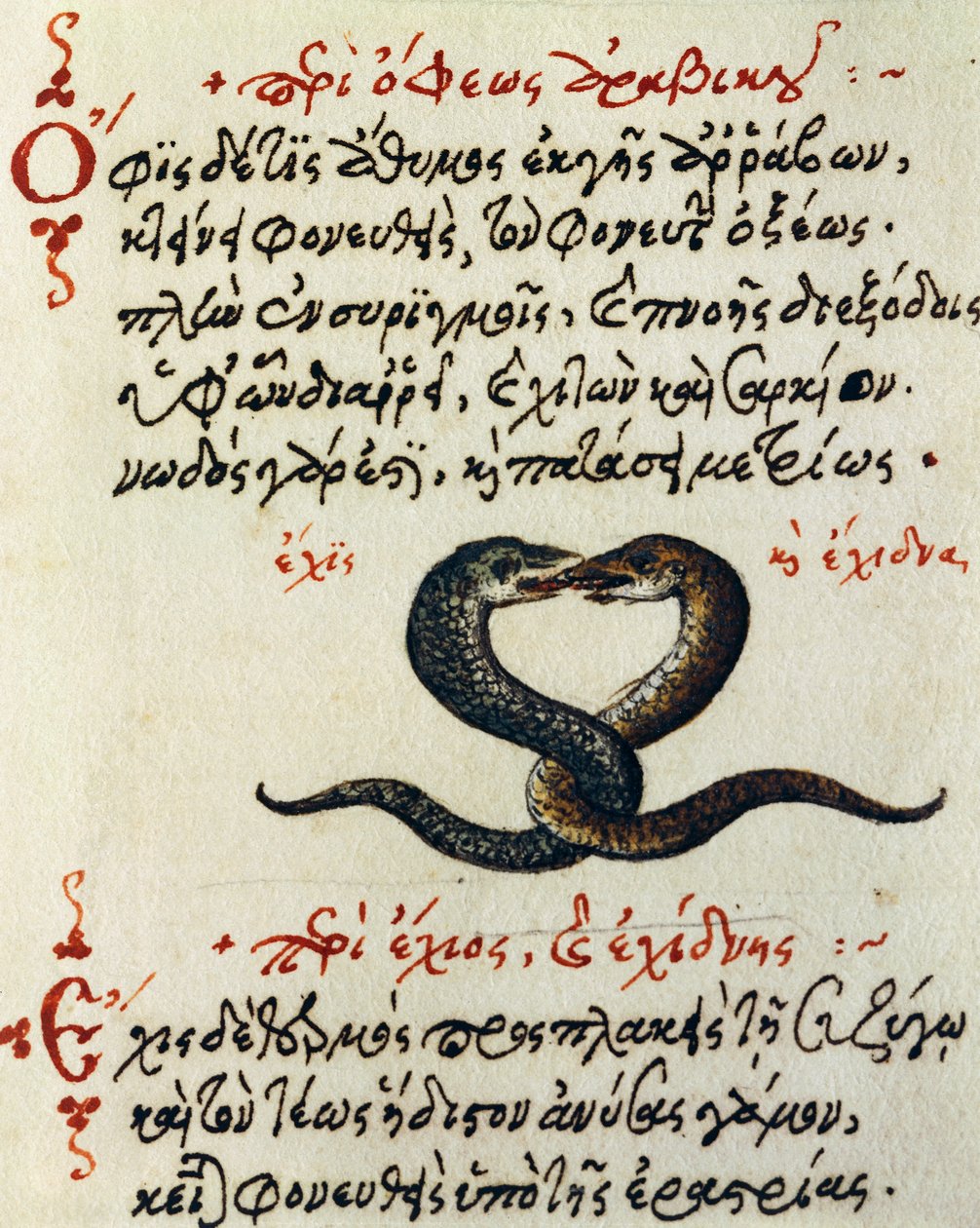 Kígyócsatolás, teszt és miniatűr Aelianustól: Az állatok természete és tulajdonságai (Kr. u. 2-3. század) alkotó: Greek School