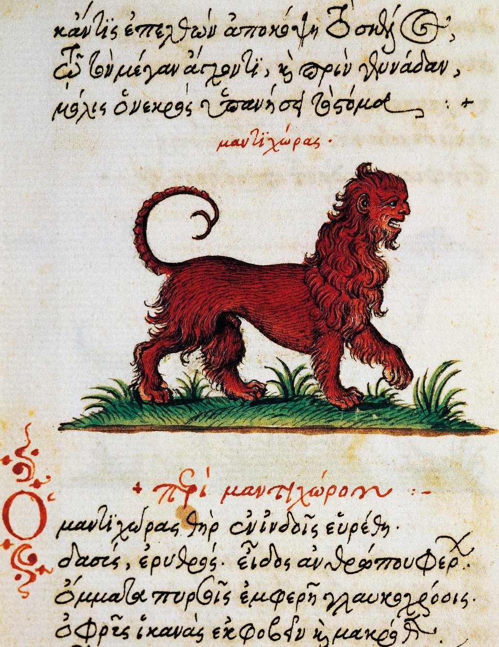 Értekezés Gryphonról, teszt és miniatűr Aelianustól (i.sz. 2-3. század) alkotó: Greek School