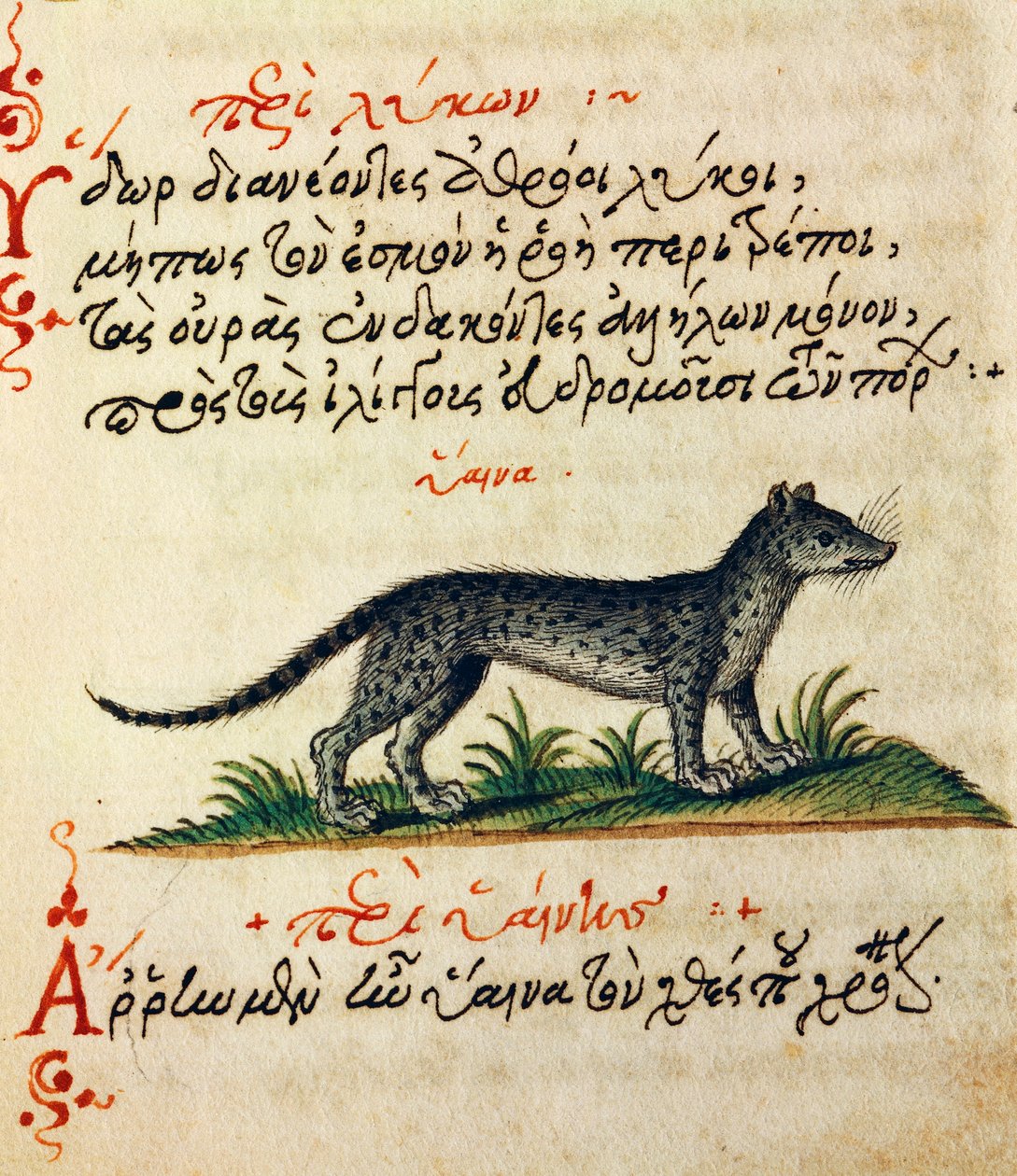 Értekezés a hiénáról, teszt és miniatűr Aelianustól (i.sz. 2-3. század) alkotó: Greek School