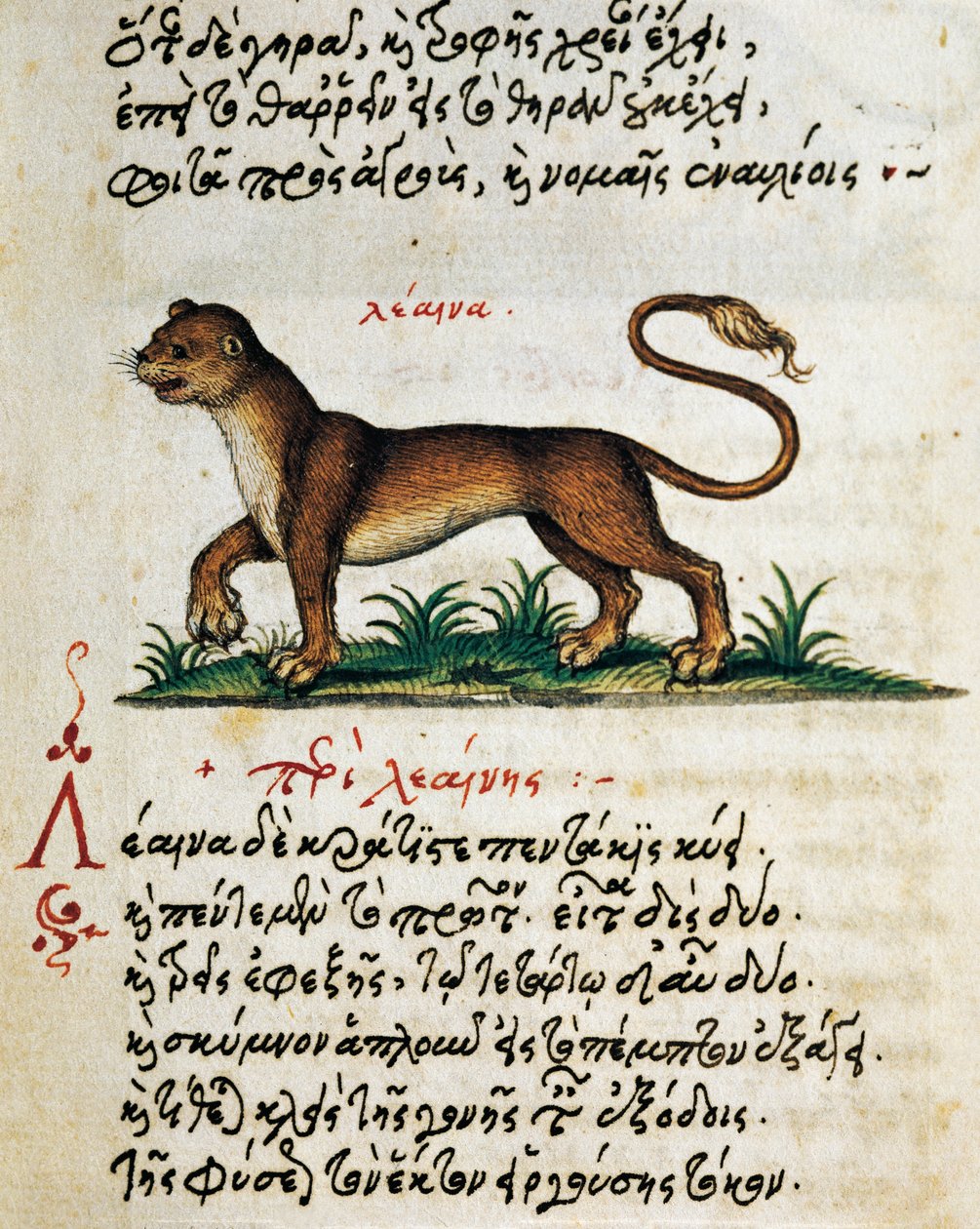Értekezés az oroszlánról, teszt és miniatűr Aelianustól (i.sz. 2-3. század) alkotó: Greek School