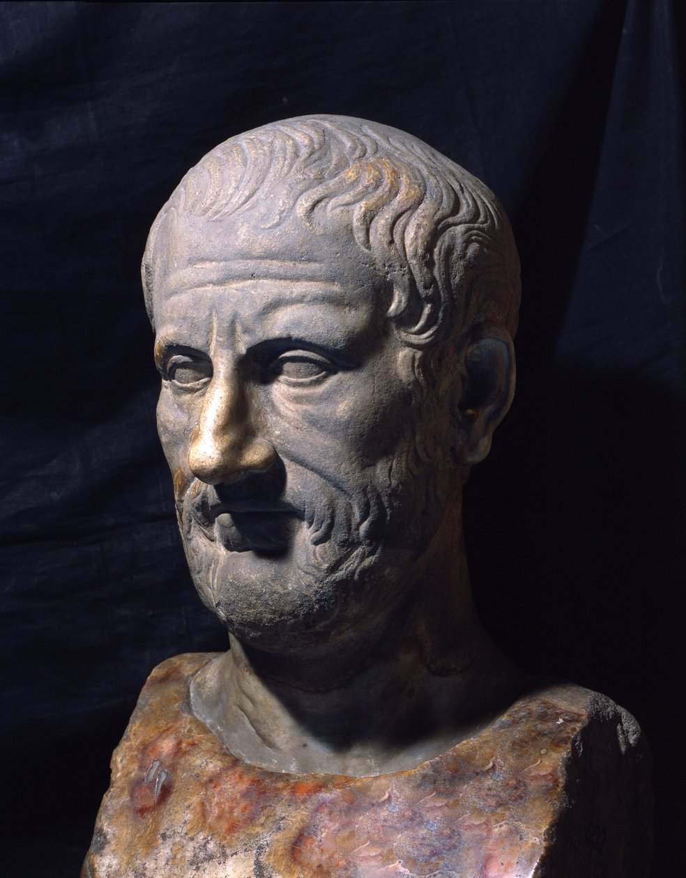Theophraste (Kr. e. 372-287) görög filozófus ábrázolása. alkotó: Greek or Roman