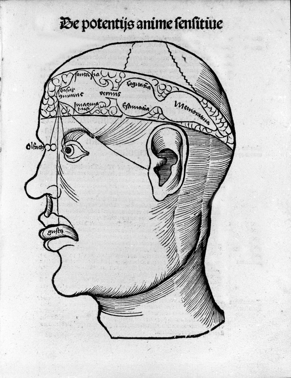 Agyvágás: tanulmány a különböző agyi funkciók lokalizálására. Gregor Reisch (1467-1525), Bale „Margarita phylosophia” metszete alkotó: Gregor Reisch